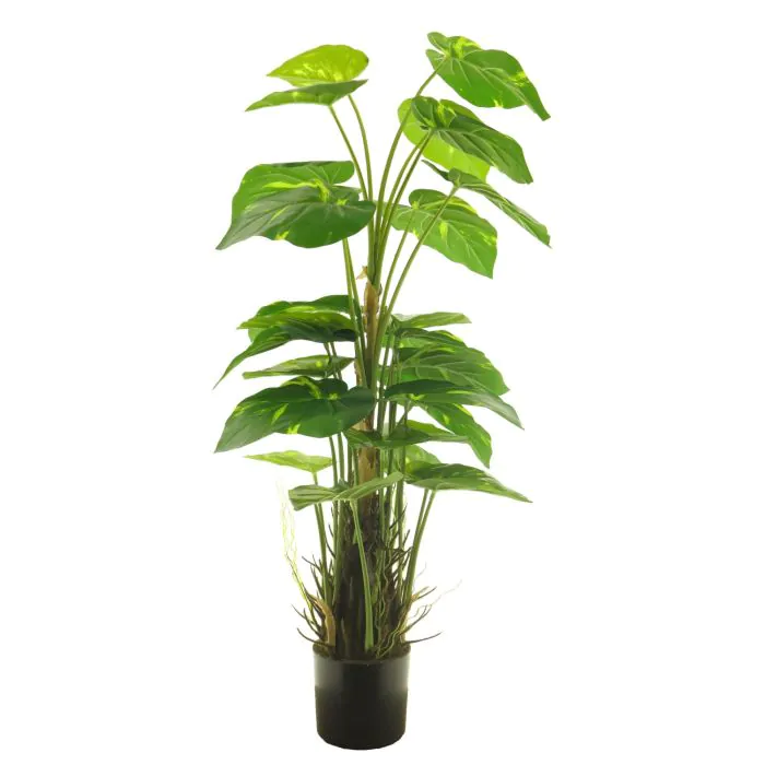 Deko Goldene Efeutute HUALIEN, grn-gelb, 80cm