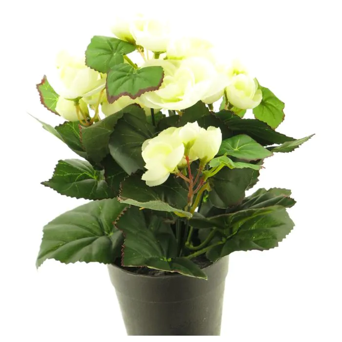 Knstliche Blume Begonie HETIAN im Dekotopf, creme, 25cm