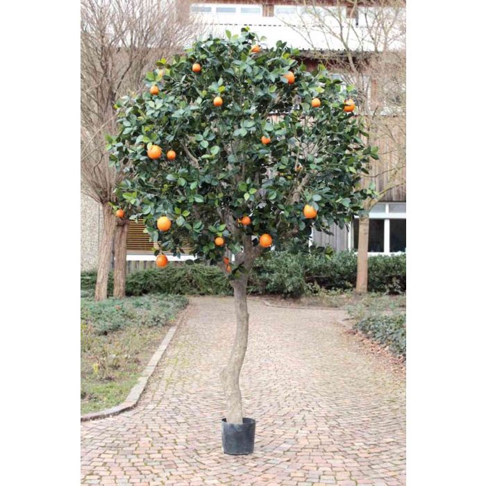 Künstlicher Orangenbaum SANTINO, Kunststamm, Früchte, 240cm