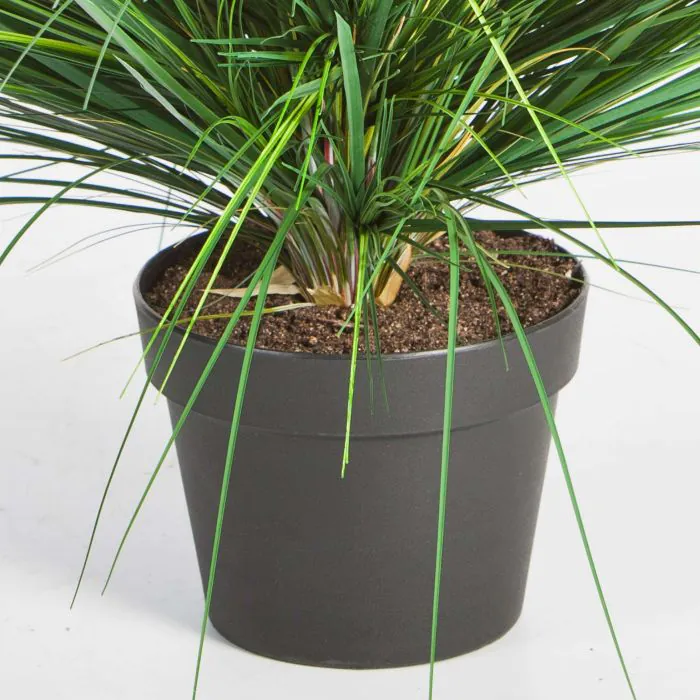 Künstliches Dünengras FABIAN, grün, 50cm