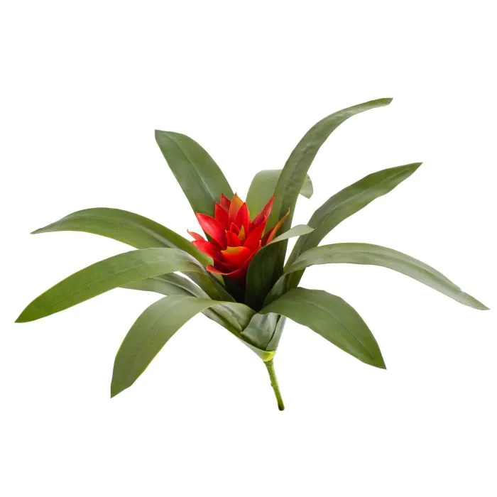 Knstliche Bromelie EVANY mit Blten, rot, 35cm
