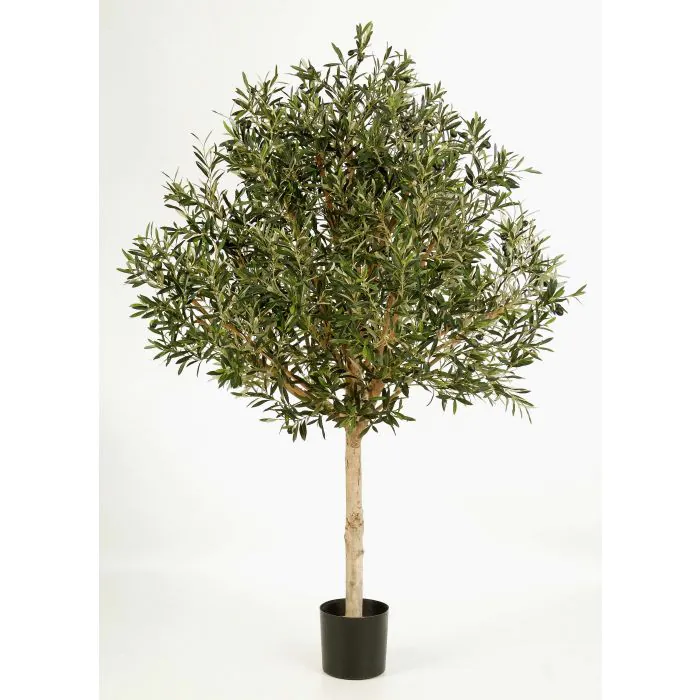 Kunst Olivenbaum NIKOLAS, Naturstamm, 210cm