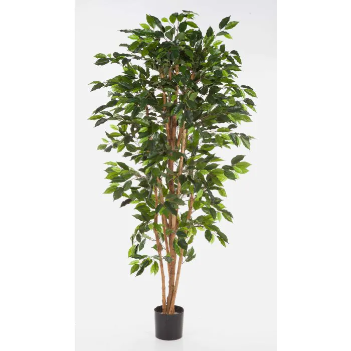 künstliche erbsenpflanze Künstliche Erbsenpflanze - Karina | 70 cm