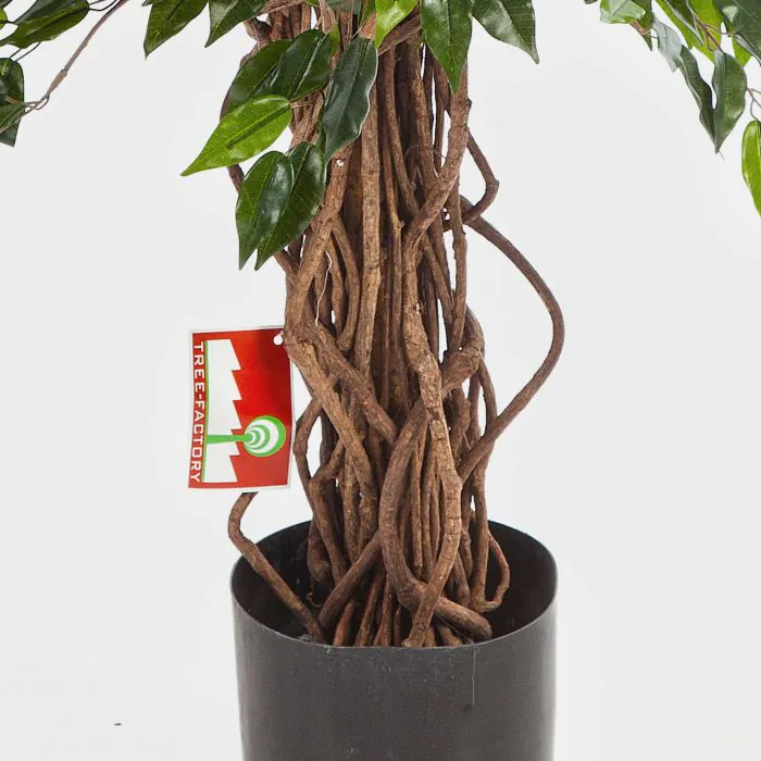 monstera napo Paper Potted Plant: Monstera – MASS MoCA main image 0