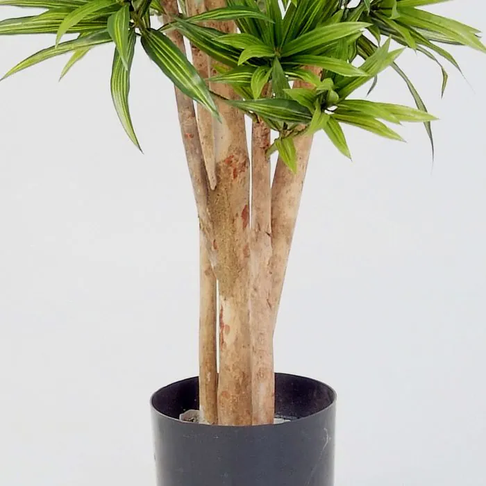 Kunst Dracaena Reflexa YASU, grn, 180cm