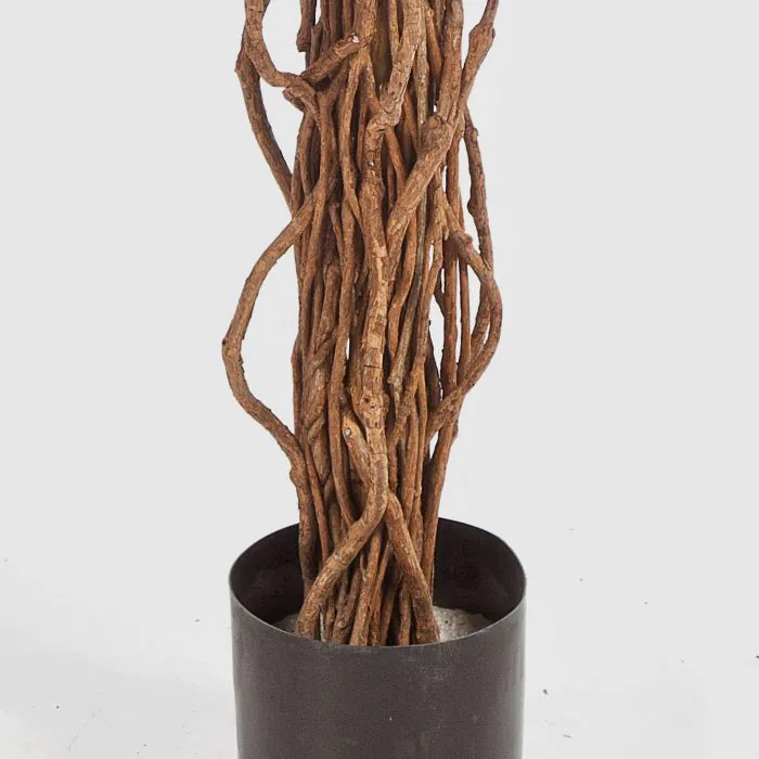Kunst Goldregen ARIANA, Echtstmme, lila, 180cm