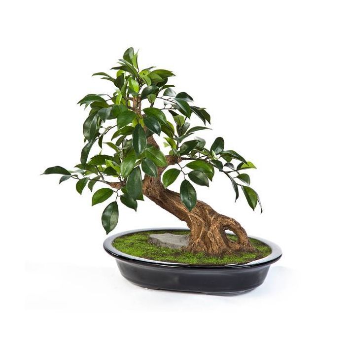 Knstlicher Bonsai Ficus TAKI in Keramikschale 40cm