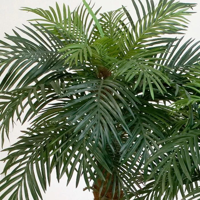 Knstliche Phnixpalme CAMILA, 180cm