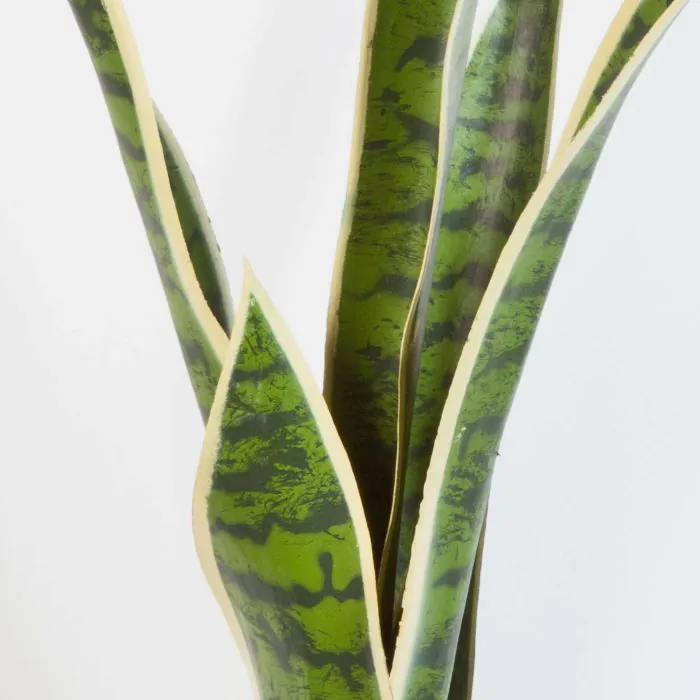 Knstlicher Bogenhanf ESRA, grn-gelb, 80cm