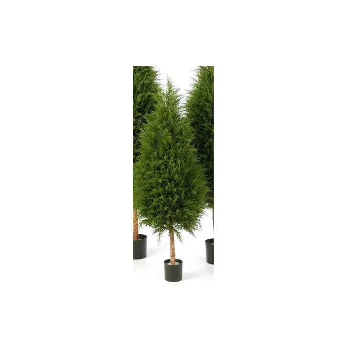 künstliche deko pflanzen Carlo Milano Pflanzen: 3er-Set Deko-Sukkulenten mit Töpfen, je 8, 9 und 15 hoch (Deko Pflanzen) Glasflasche mit Verschluss