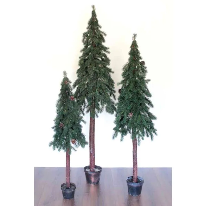 pflanztopf kaufen Große Aroid-/Orchideentöpfe kaufen? ✓ Ø18-28cm