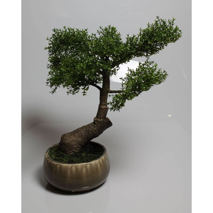 Kunst Bonsai Fukientee BRANKO im Keramiktopf, 50cm