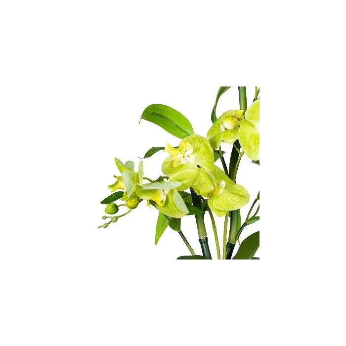 Knstliches Gesteck Orchidee Bambus MARAKI im Zementtopf Buddha, Wurzeln,  hellgrn, 60cm