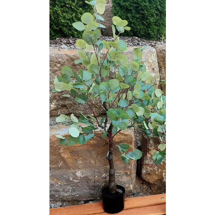 Eukalyptus Baum knstlich WISGARD, Kunststamm, grn-grau, 180cm