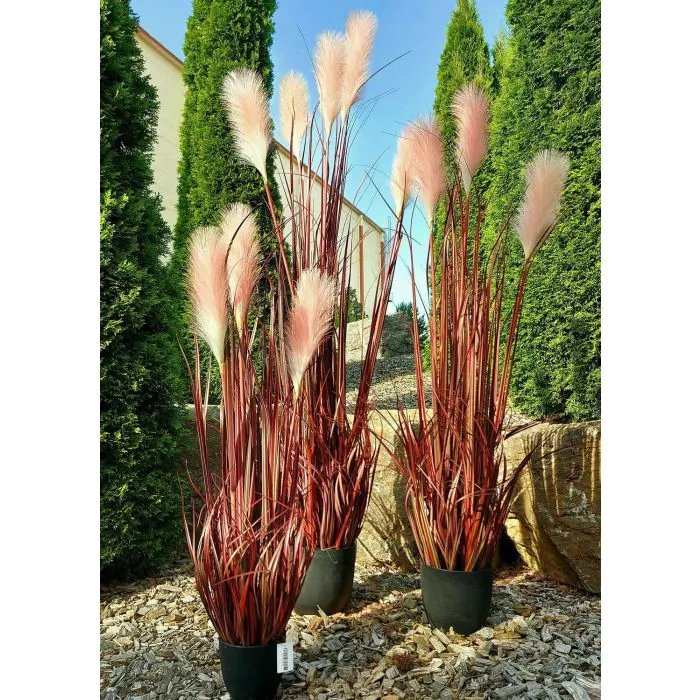 Pampasgras knstlich WERNHILD mit Rispen, Dekotopf, rot-braun, 120cm