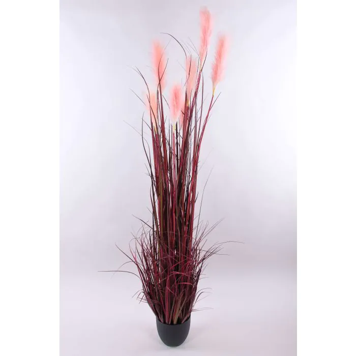Pampasgras künstlich WERNHILD mit Rispen, Dekotopf, rot-braun, 180cm