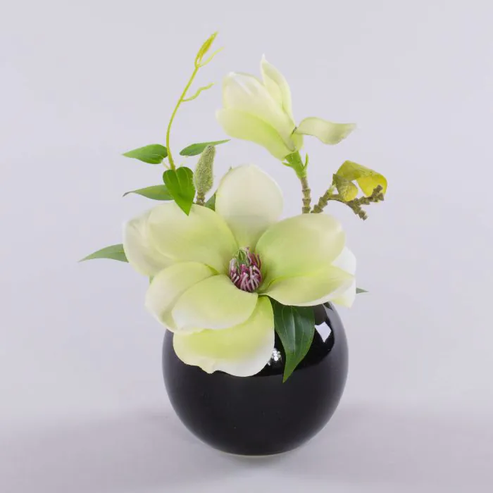 Künstliche Magnolie FEMI im schwarzen Keramiktopf, creme-grün, 20cm, Ø17cm