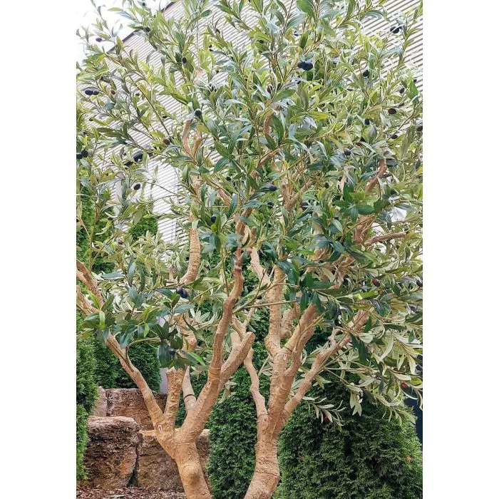 Knstlicher Olivenbaum MALACHI mit Frchten, Kunststamm, Dekotopf, 250cm