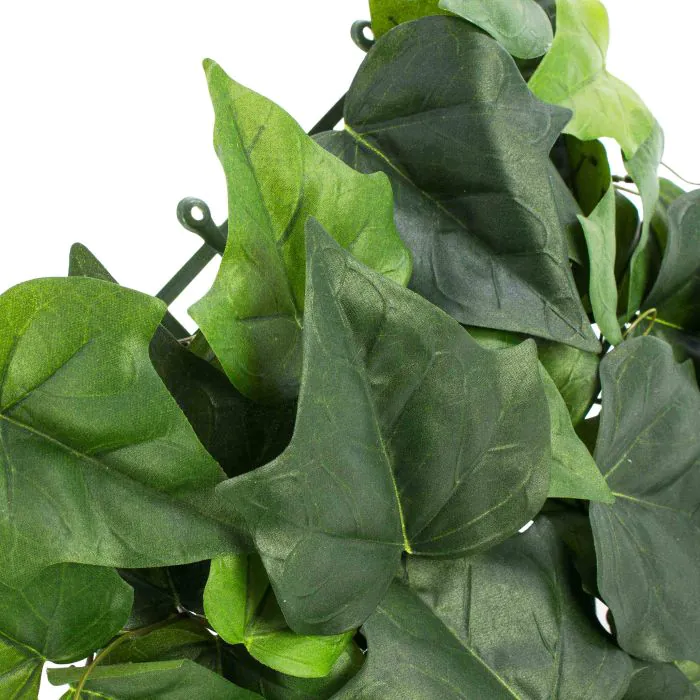 brokkolisamen zentrum der gesundheit Brokkolisamen gekeimt, bio, roh 200g  TAIGA Naturkost