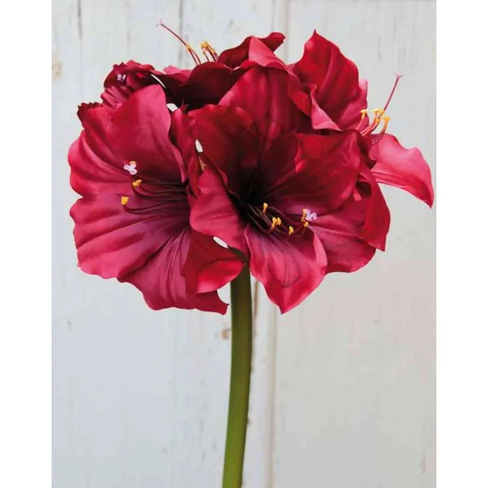 Kunst Amaryllis DAGGI, rot, 70cm, Ø11-18cm