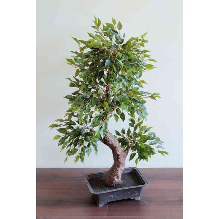 lego icons bonsai tree LEGO 10281