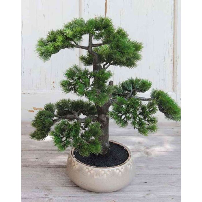 Kunst Bonsai Pinie mit Wurzeln ALDUR in Keramikschale, 55cm