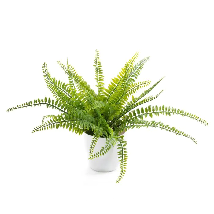 san pedro kaktus Kaktus San Pedro Künstlich - Künstliche Pflanzen main image 0