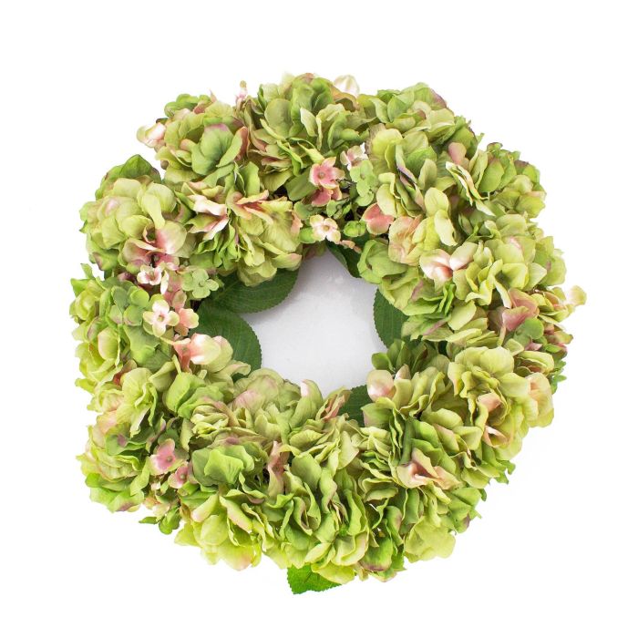 gelbe eier in der erde Unbekannte Kügelchen zwischen den Wurzeln? Düngerkugel · Pflanzenkrankheiten & Schädlinge · GREEN24 Pflanzen & Garten Forum Clear Cylinder Flower Vase
