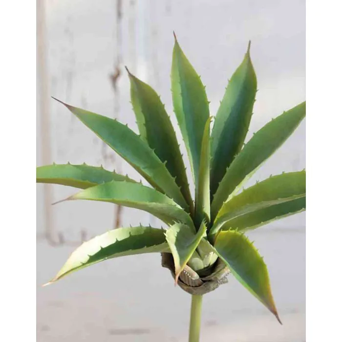 Knstliche Agave UNATHI auf Steckstab, grn, 25cm