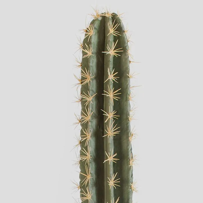Knstlicher Sulenkaktus SALVADOR, 205cm