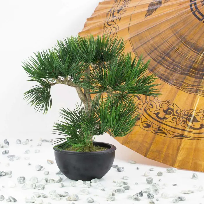 Kunst Bonsai Pinie CATALINA in Pflanzschale, 35cm