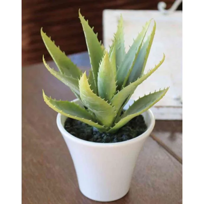 aloe vera peeling gel DABO Aloe Vera Calming Peeling Gel Dead Skin Hypoallergenic Moisture  CALD