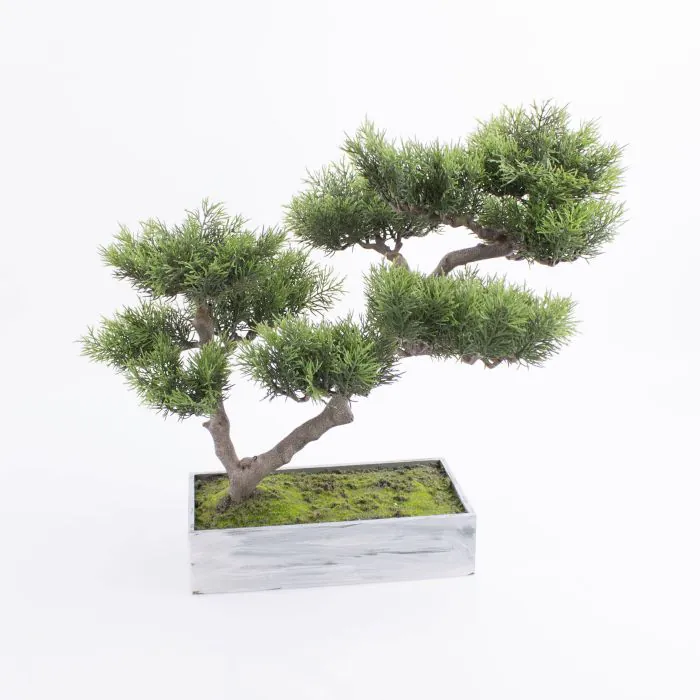 Knstlicher Bonsai Zeder ARUN in Holzschale, 45cm