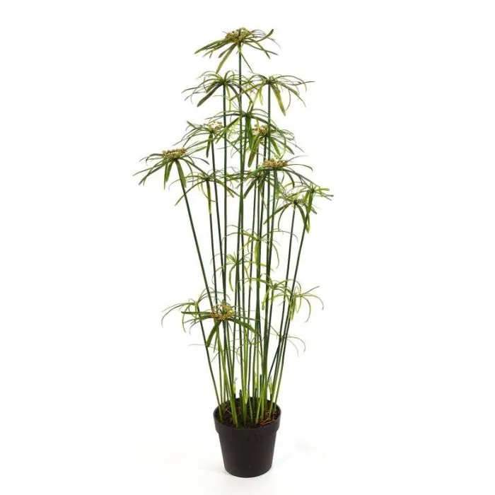 Kunstpflanze Papyrus MOUSSA, grn, 125cm