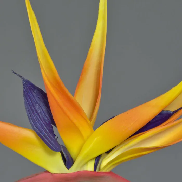 Kunst Papageienblume LATIFA, orange-violett, 80cm