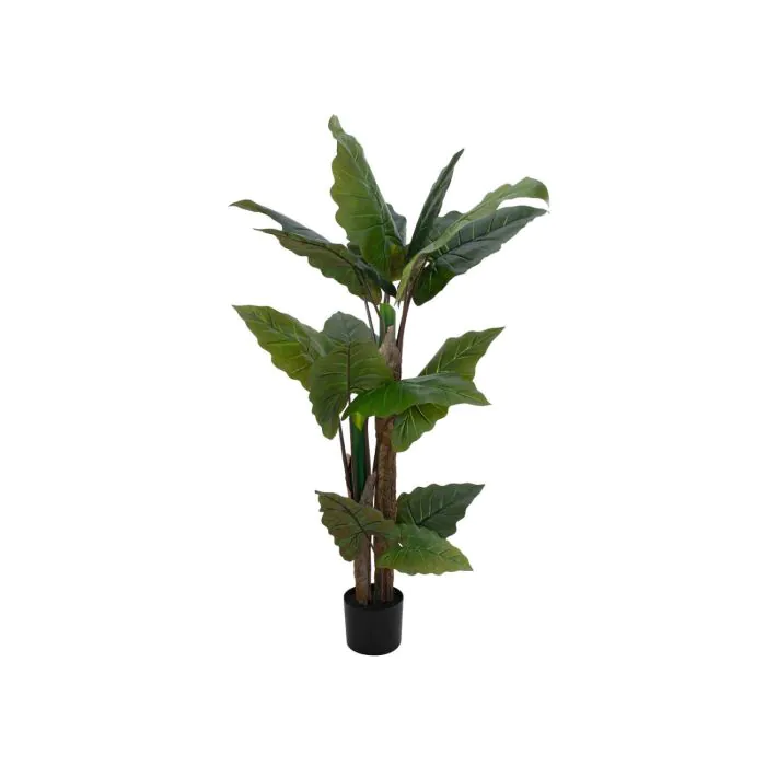 Unechte Pflanze Alocasia Calidora PATRICIUS, grün, 140cm