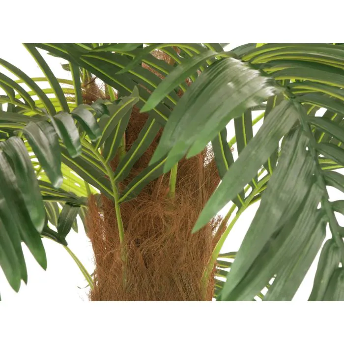 Plastik Phnix Palme JOLEEN, 250cm