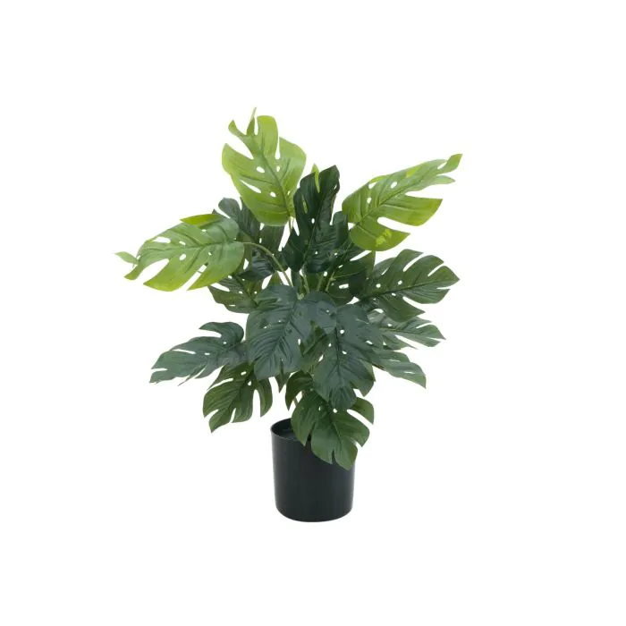 Plastik Philodendron Monstera Deliciosa PIUS,40cm