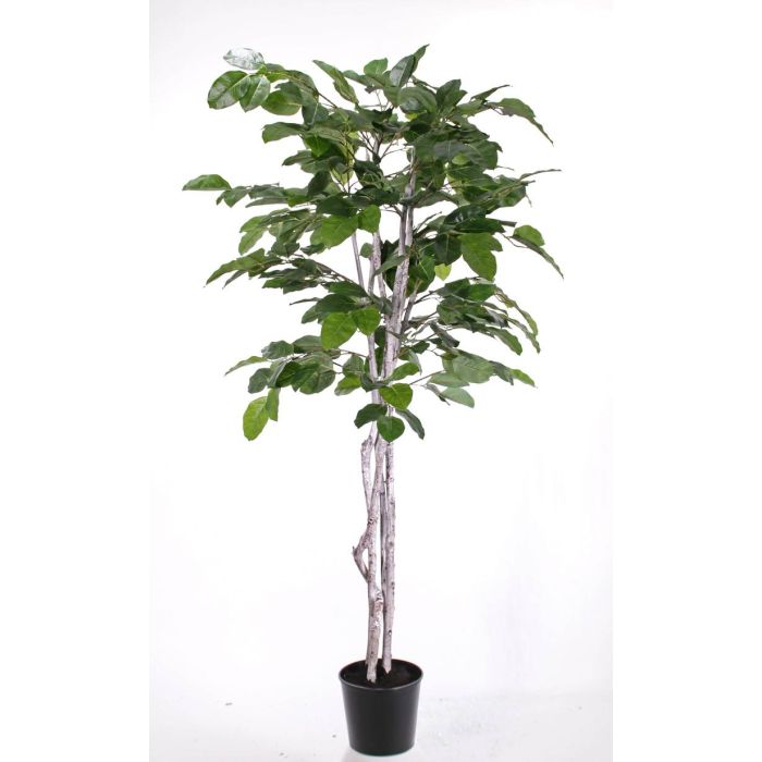 Kunst Banyan Feige DELF, Kunststmme, grn, 180cm