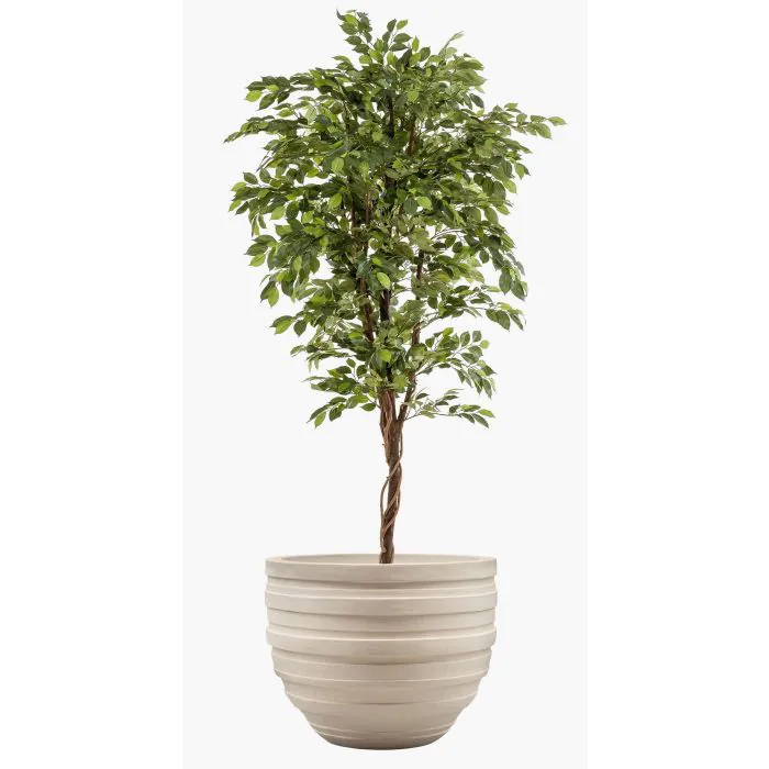 Knstlicher Ficus Benjamini BARTOLO, grn, 200cm