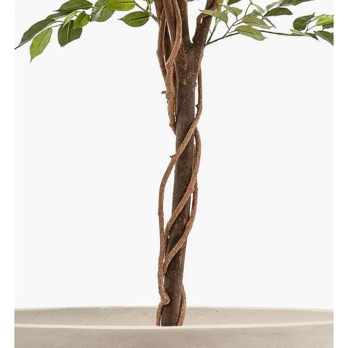 Knstlicher Ficus Benjamini BARTOLO, grn, 200cm