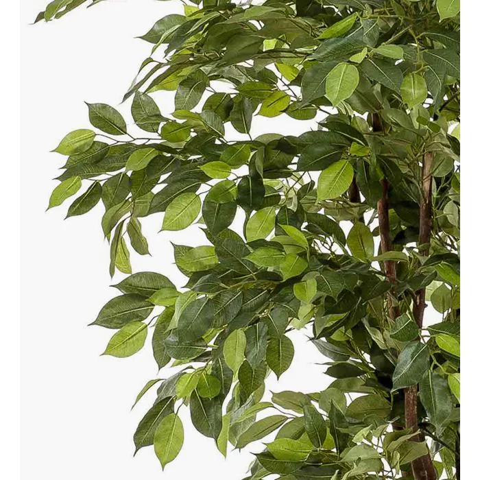 Knstlicher Ficus Benjamini BARTOLO, grn, 200cm