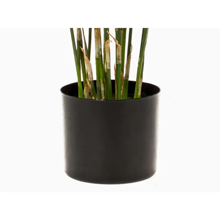 pflanztopf liter berechnen Pflanztopf Kunststoff  Robuster Blumentopf fr Garten & Balkon  Flora  Boost
