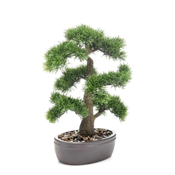 Kunst Bonsai Zeder QUARTILLA in Schale, grn, 45cm