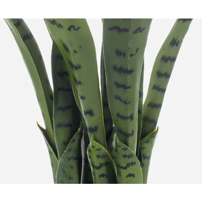 Kunst Sansevieria POLIANA, grün, 50cm