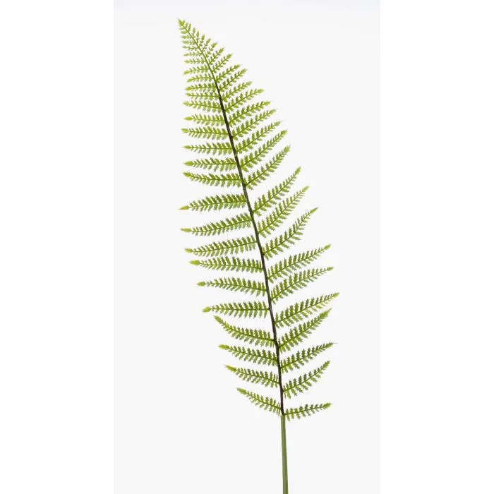 Kunststoff Boston Farn Blatt CODY, grn, 100cm