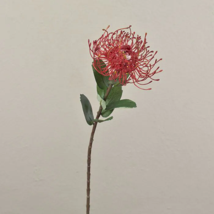 Knstliche Protea BAILY, rot, 50cm, 12cm