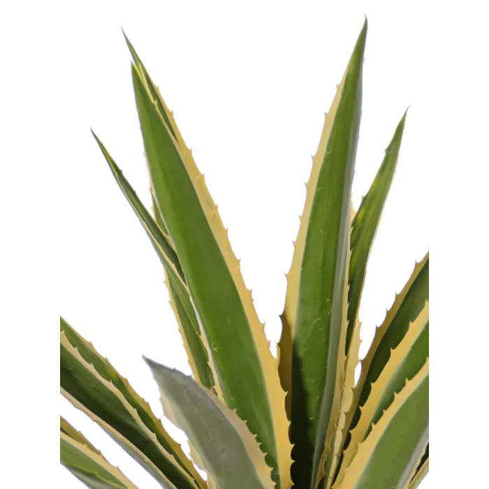 Kunst Agave furcraea gigantea KNOX, grn-gelb, 100cm