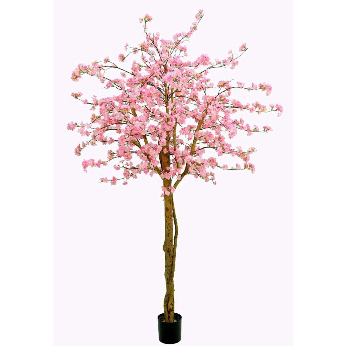 Kunst Japanische Blütenkirsche TIFFY, rosa, 240cm