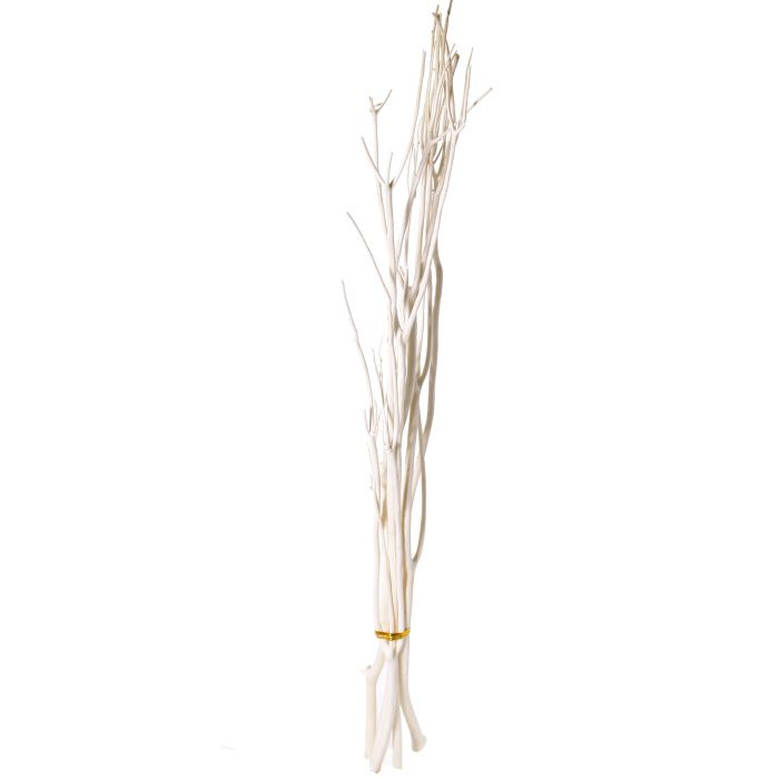 Deko Zweige Mitsumata GERY, 3 Stück, getrocknet, creme, 105cm